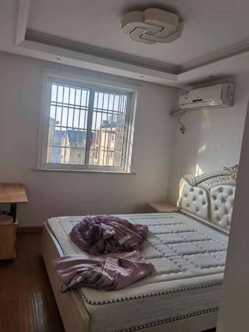 上海蘇家浜小區 精品單身公寓，拎包入住的無憂選擇